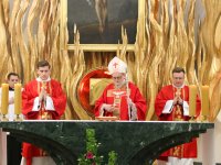Msza Święta pod przewodnictwem kardynała Larsa Andersa Arboreliusa